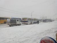 post-3-0-69739200-1452994018_thumb.jpg