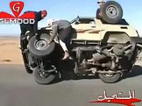 post-3-1298970386_thumb.jpg