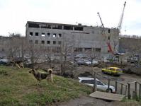 post-5071-0-58866800-1432803539_thumb.jp