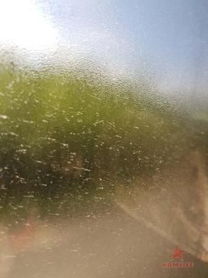 20160619_104910.jpg