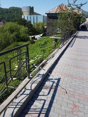 20160707_155559.jpg