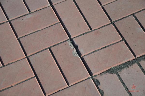 DSC_7004_resize.JPG