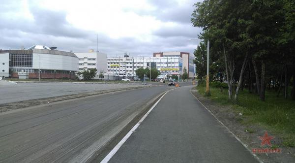 dm01.jpg