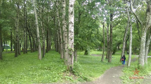 park-industr03.jpg