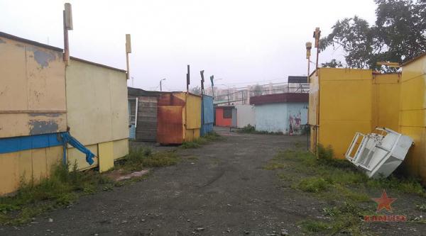 rinok-tush01.jpg