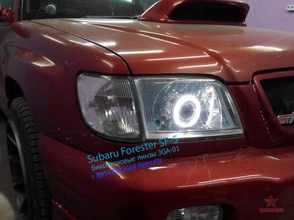 forester1.jpg