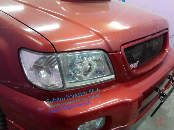 forester2.jpg