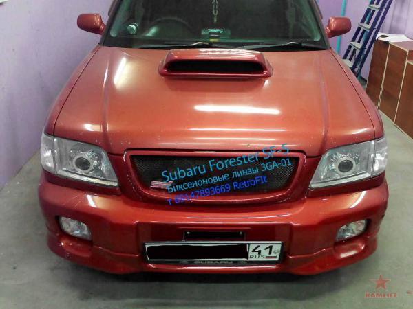 forester3.jpg