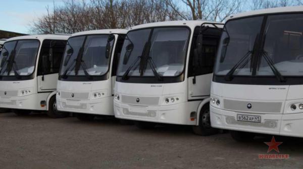new-buses01.jpg