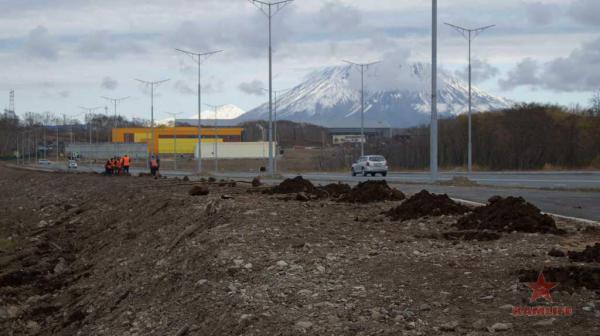 new-road-plants01.jpg
