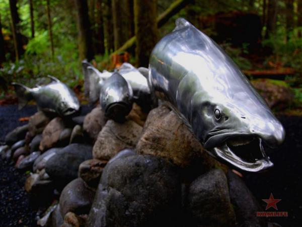 fish-museum02.jpg