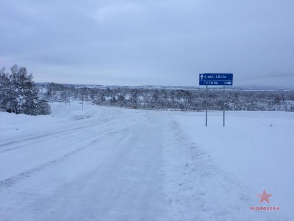 zimnik-dec05.jpg