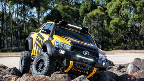 2569494.jpg