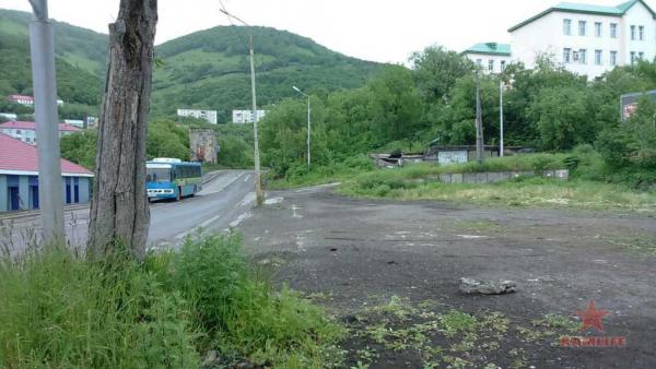 1499217329_avtobus2.jpg