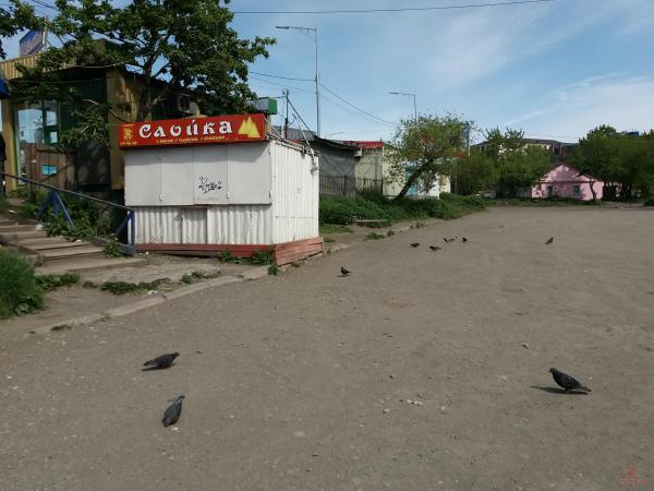 20170617_160726.jpg