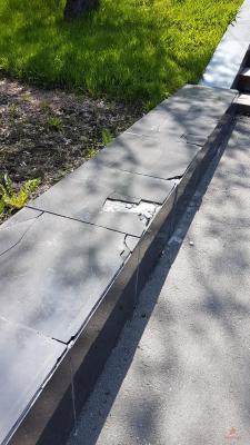20180615_120725.jpg