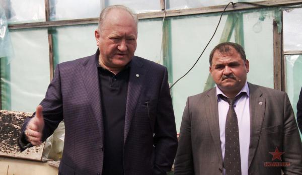 bae83db69f6d635a02300068a58e856c.jpg