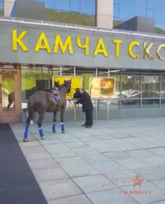 puchkovskij_na_kone.png