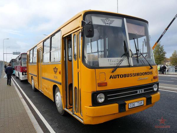 2858001.jpg