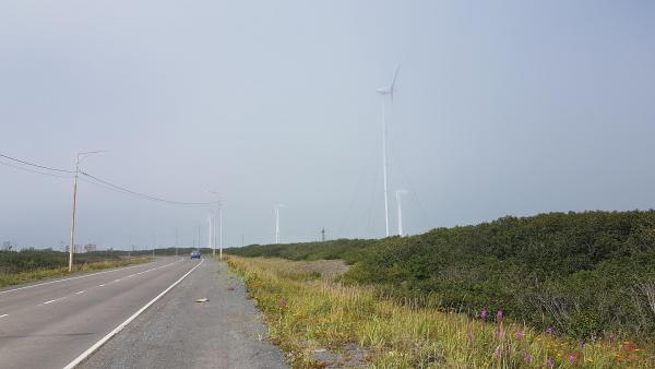 20180807_113038.jpg