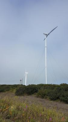 20180807_113145.jpg