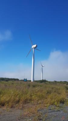 20180807_114441.jpg