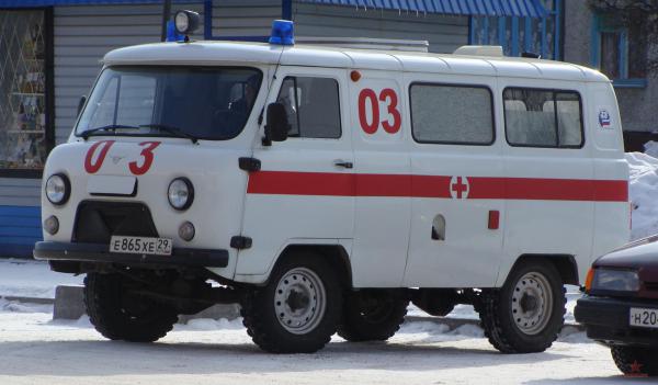 2963165.jpg