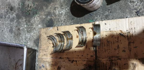 20190330_123139.jpg