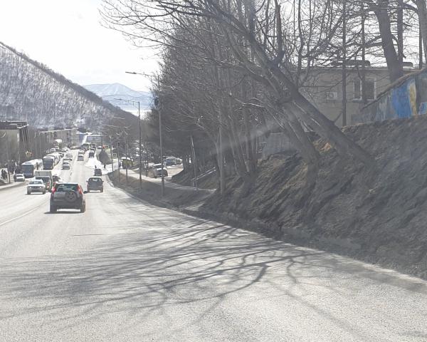 20190408_160747.jpg