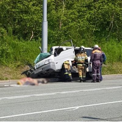 smotrovaya1.jpeg