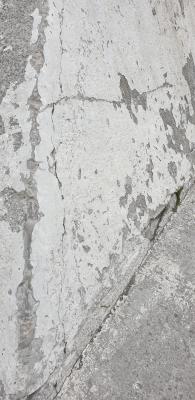 20190609_151414.jpg