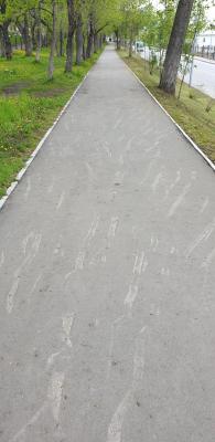 20190609_155708.jpg