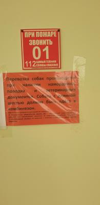 20190531_115628.jpg