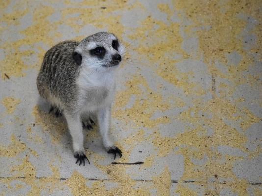 d1df58de9b7cba1e9fad37183f4456d0.jpg