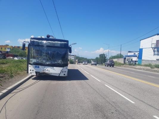 avtobus_v_svetovuyu2.jpg