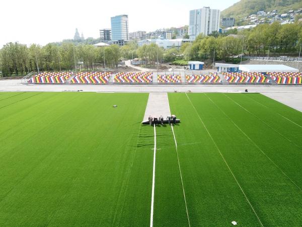 pokrytie_stadiona2.jpg