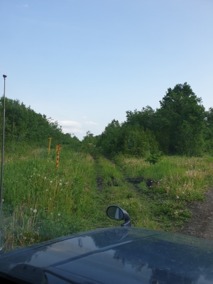 20200705_182955.jpg
