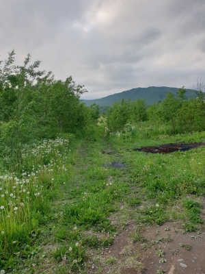 20200705_183000.jpg