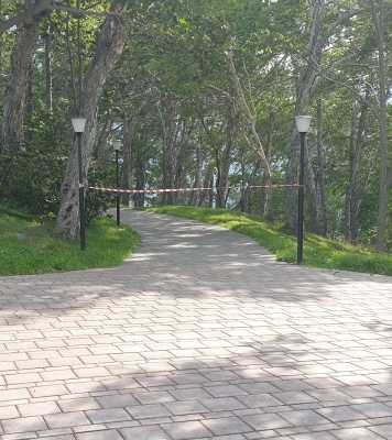 20200823_163756.jpg