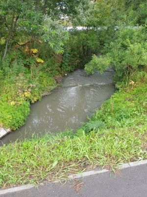 20200906_134528.jpg