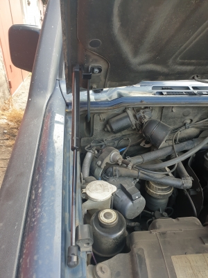 20200913_113206.jpg