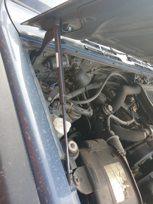 20200913_113237.jpg