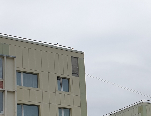 20200525_135856 — копия.jpg