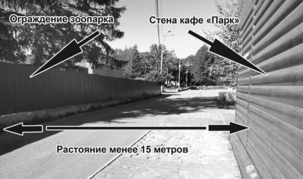 зоо2-768x453.jpg