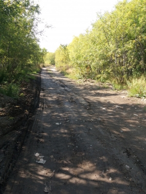 kultuchnoe-ozero-bez-nadezhdy-photos-big (2).jpg
