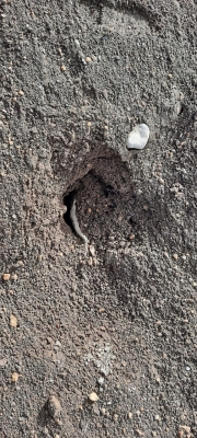 2f3d336f23963bc951251bc454c277dc.jpeg