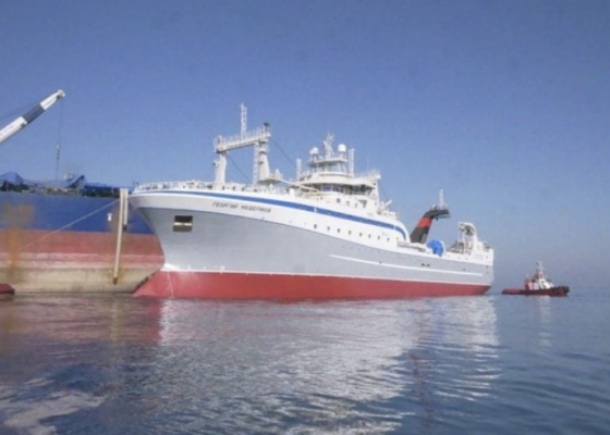 37b68732.jpg