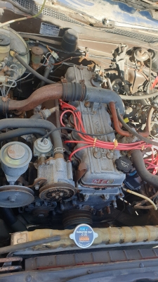 20220305_154920.jpg