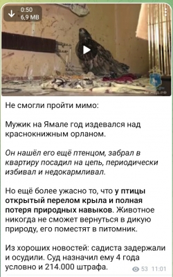 SmartSelect_20220808-111508_Telegram.jpg