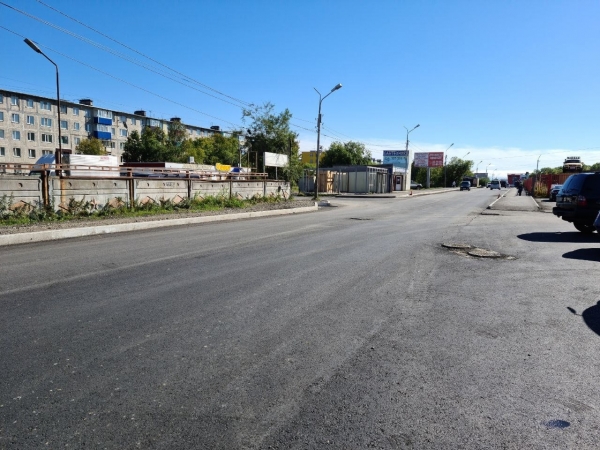 abelya04.jpg